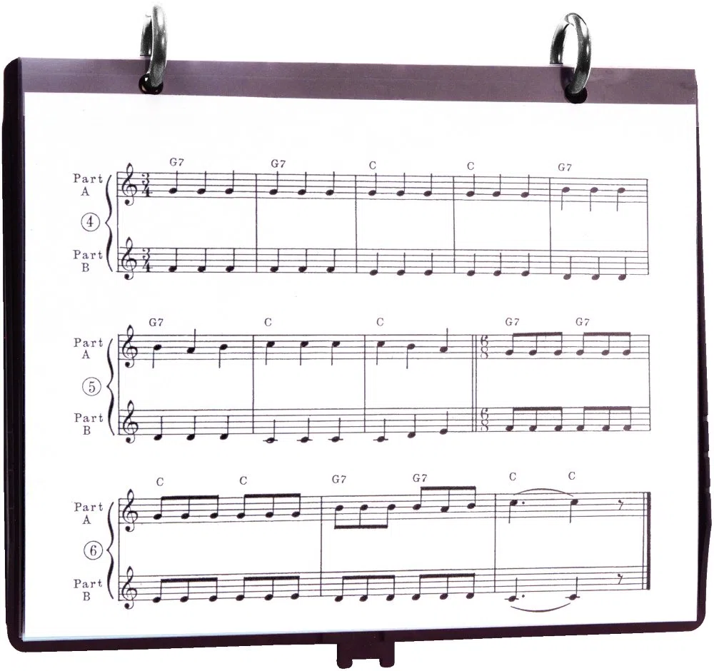 Selmer 5885 PLASTI-FOLIO música soporte