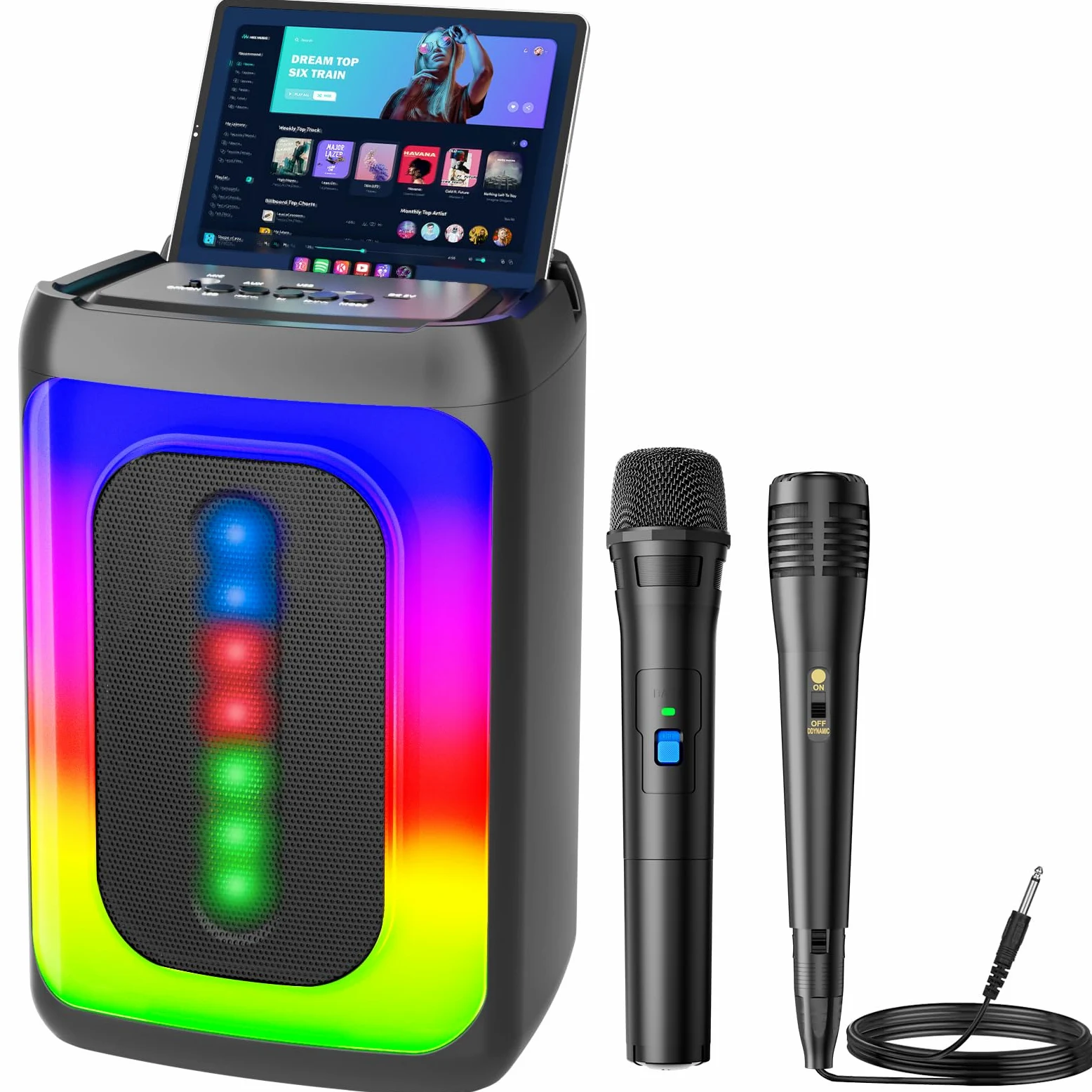 Ankuka Karaoke Machine con 2 micrófonos, Altavoz Bluetooth portátil con Luces LED, TF/USB, FM, AUX, TWS, para Fiestas y Adultos, Regalo para Amigos y Familiares, (Negro)